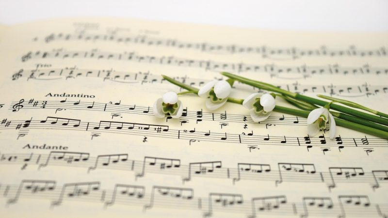 歌曲 关于本站,大家最常问的六个问题